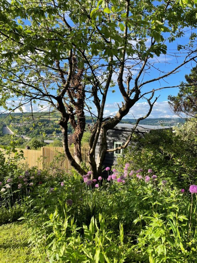 Secluded Lodge With Spectacular Views And Hot Tub! Бат Экстерьер фото